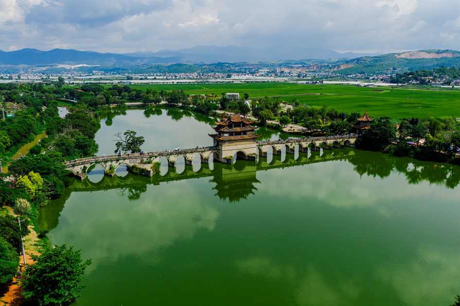 Canto do CANÁRIO DA TERRA - Um Pingo de OURO na Natureza !