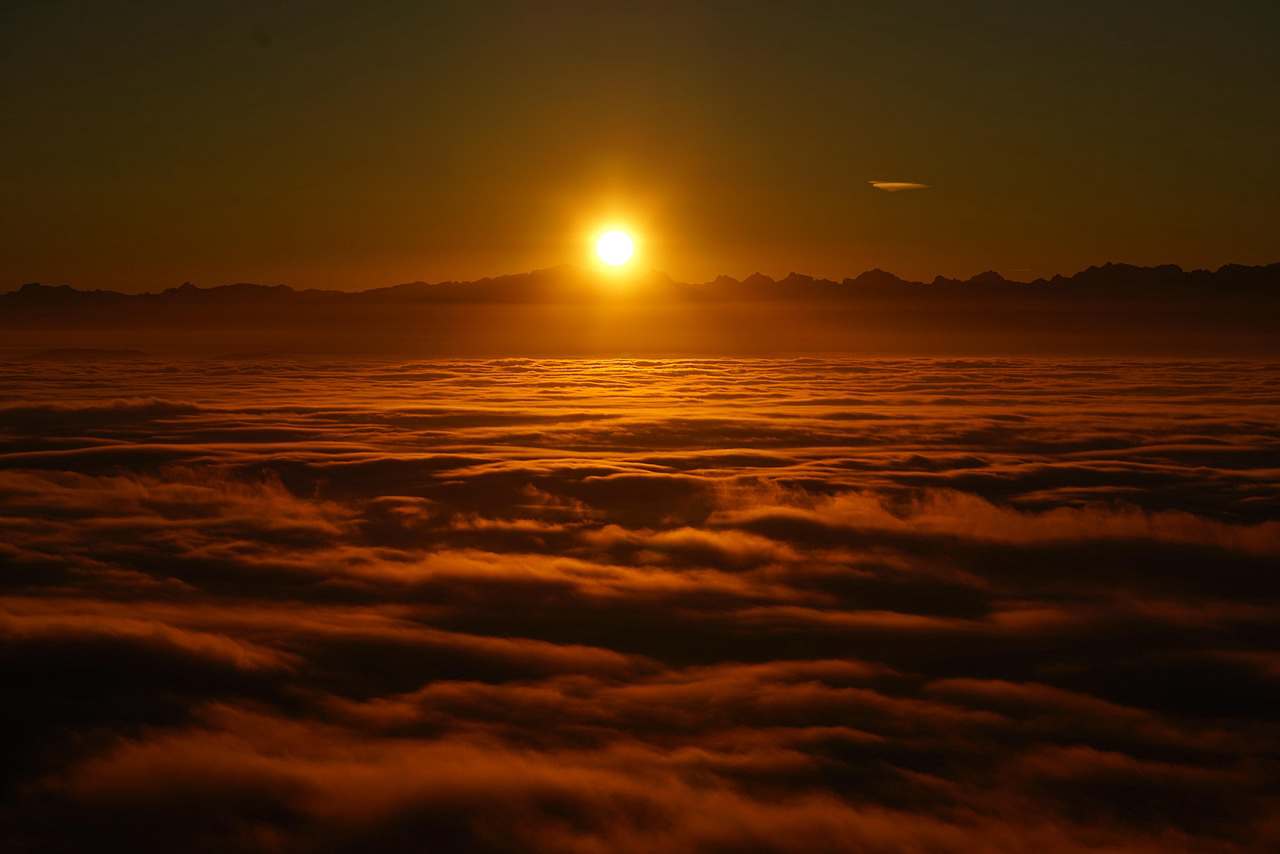 10 CANTOS DE LINDOS PÁSSAROS NA NATUREZA