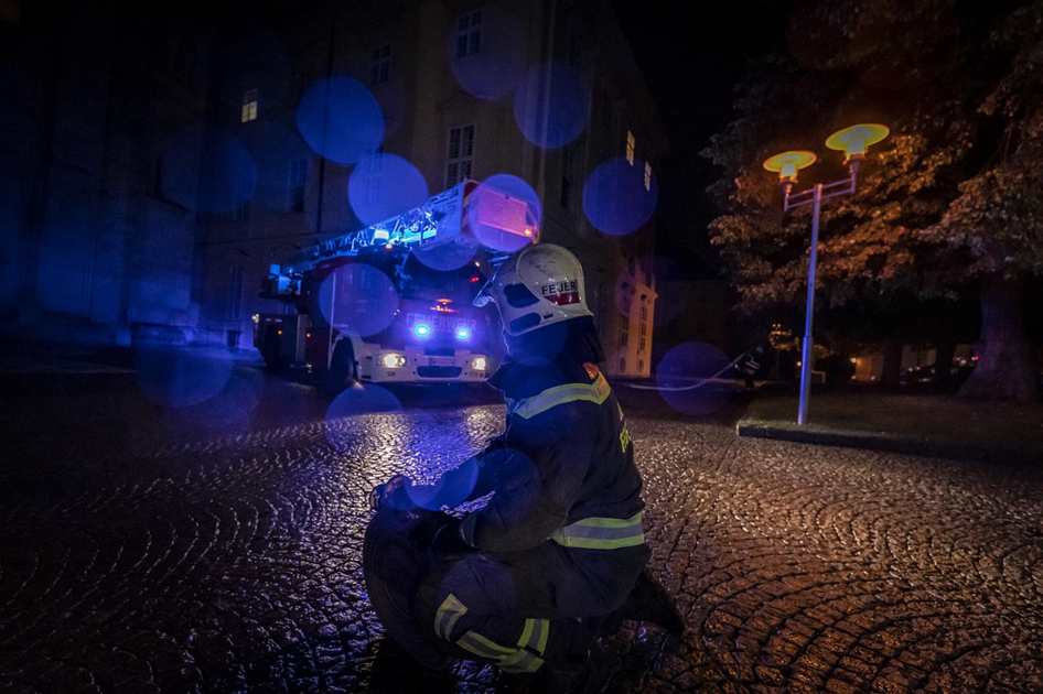 Canto de Curió Mateiro