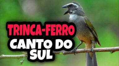 ENCARTE PARA TRINCA FERRO - CANTO DO SUL